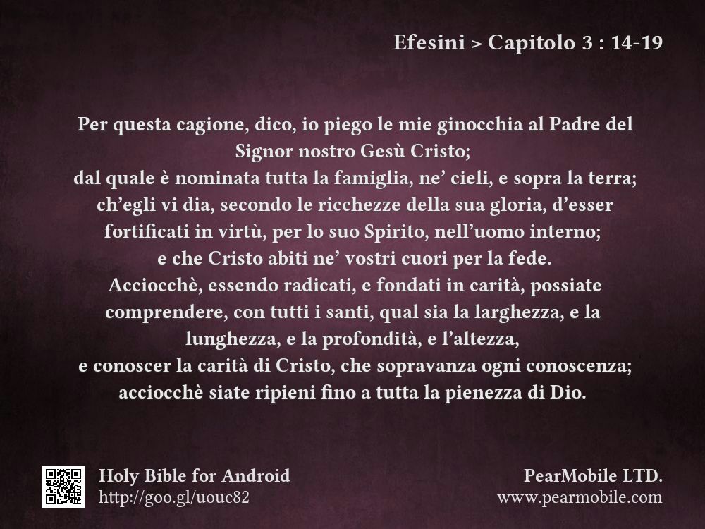Efesini, Capitolo 3:14-19